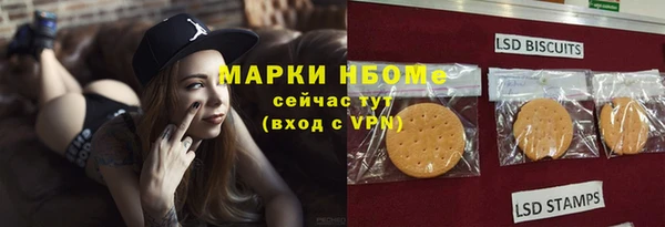 PSILOCYBIN Алзамай