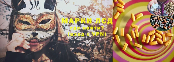 PSILOCYBIN Алзамай