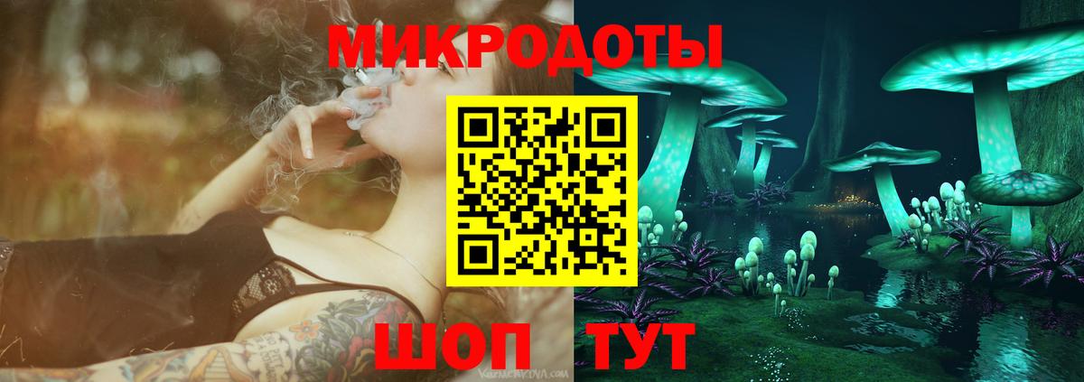 Псилоцибиновые грибы Psilocybe Кызыл